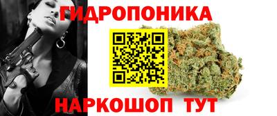 ECSTASY Моздок